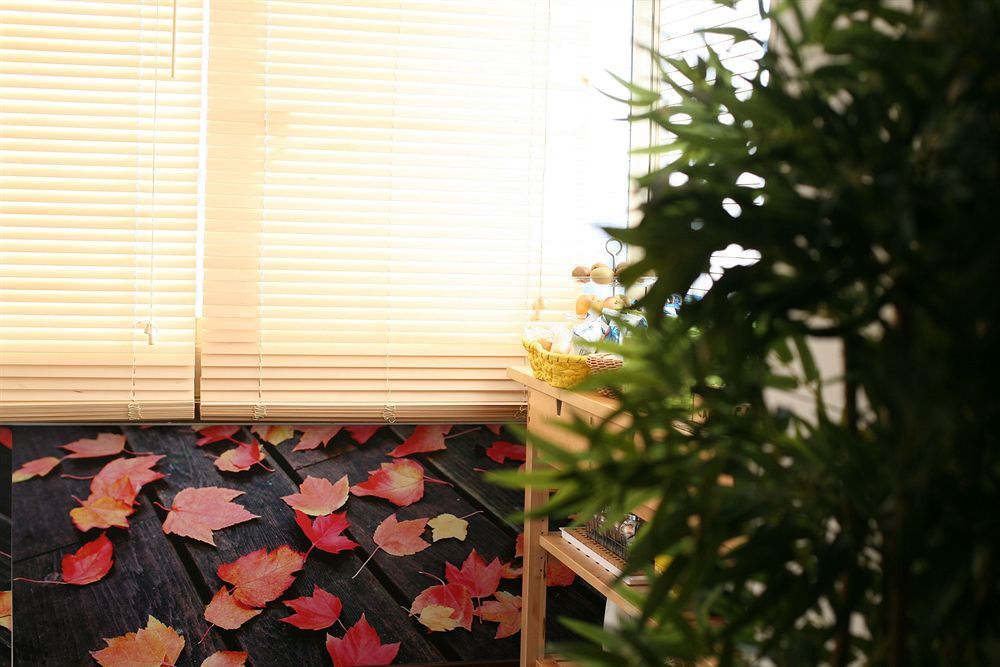 רומא Bamboo B&B מראה חיצוני תמונה